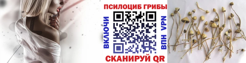Купить где  Белозерск  Галлюциногенные грибы ЛСД 